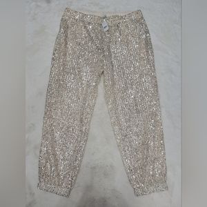 New. The Loft Size Large Sequin Pants cream /silver